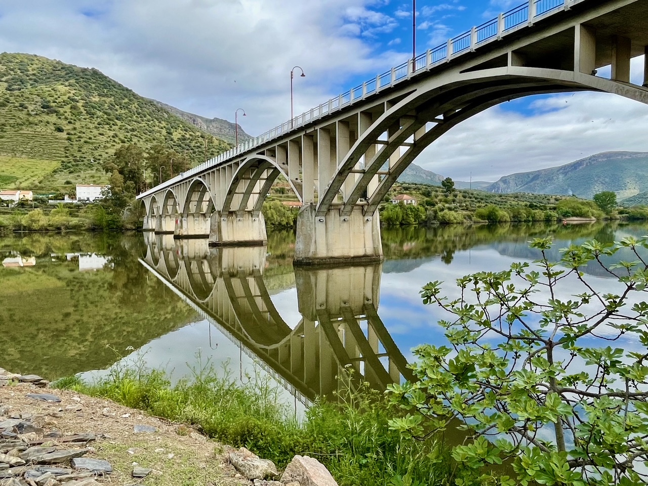 DOURO TRIP
