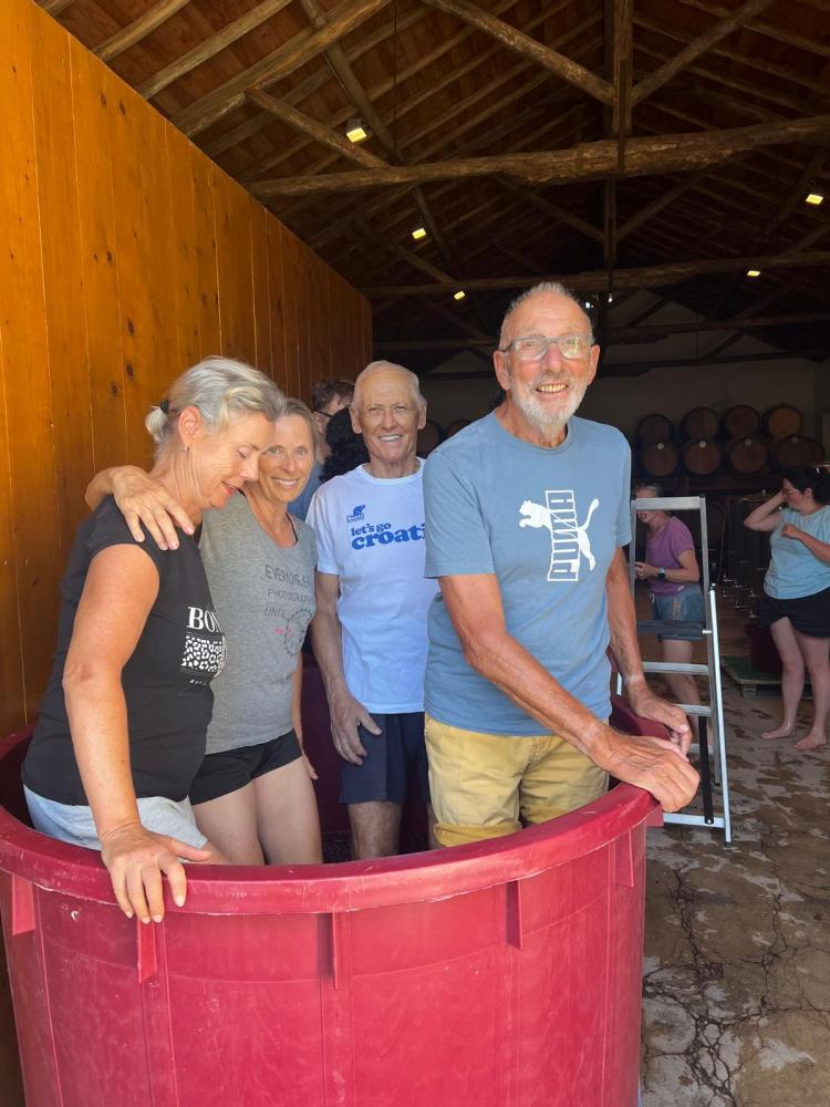 grape stomping event