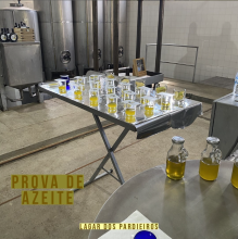 portimao evento